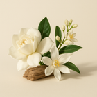 Accord floral blanc