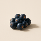 Baies de genièvre