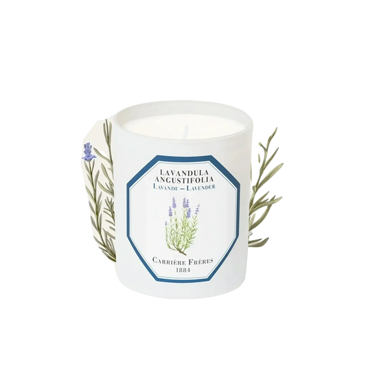 Bougie parfumée Lavande vraie des montagnes françaises par Carrière Frères ambretmusc