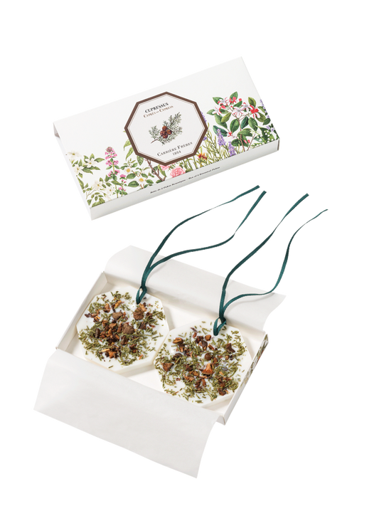 Palet Botanique Cyprès | Carrière Frères