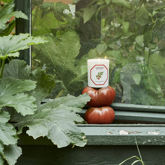 Tomate | Carrière Frères