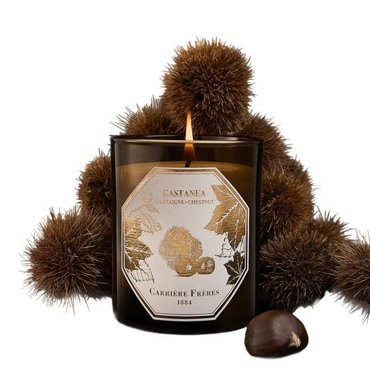 Bougie Châtaigne
