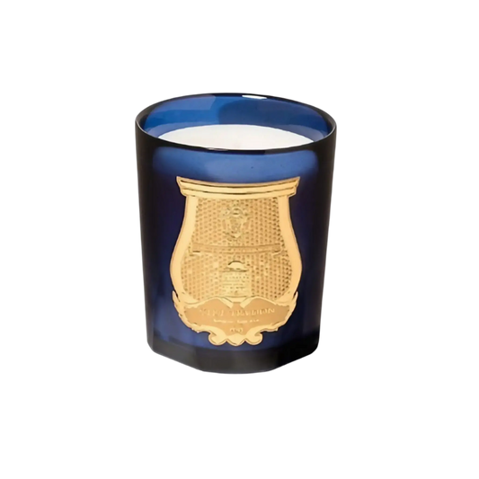 Bougie parfumée Estérel de Trudon, inspirée du mimosa sauvage de l'Estérel avec ambretmusc