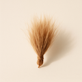 Fibres de ricin