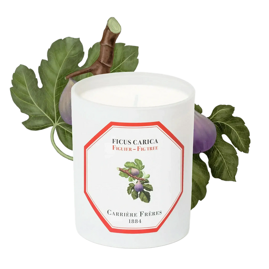 Bougie parfumée Figuier de Carrière Frères, collection ambretmusc, fragrance fruitée méditerranéenne