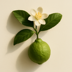 Fleur de bergamote