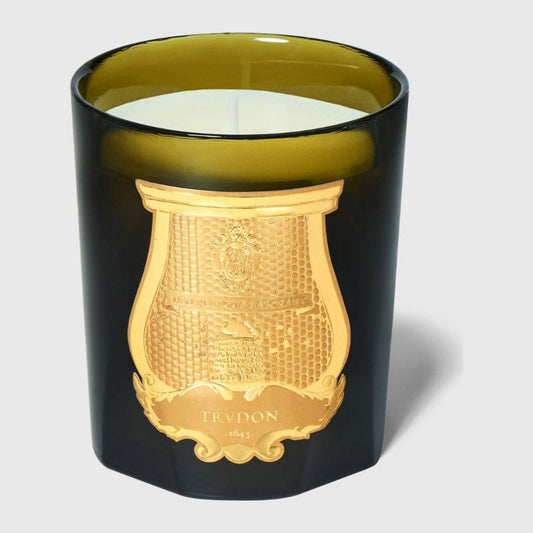 Gabriel Trudon