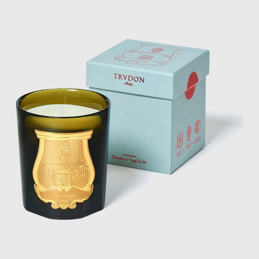 Gabriel Trudon