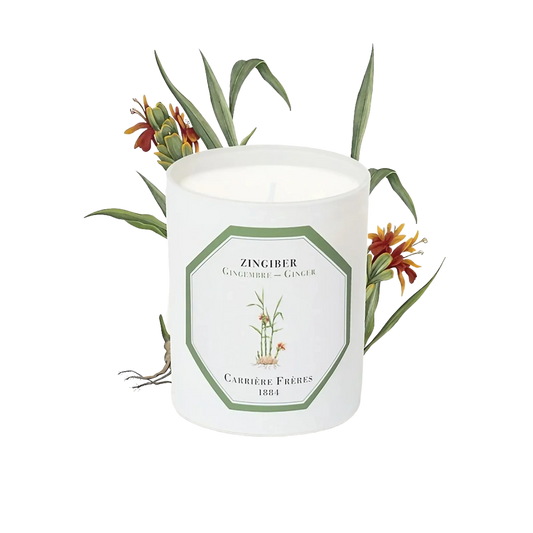 Bougie parfumée Gingembre de Carrière Frères, collection ambretmusc