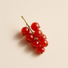 Groseille
