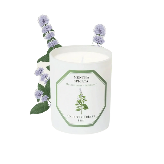 Bougie parfumée Menthe Verte de Carrière Frères collection ambretmusc