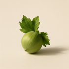 Noisette verte