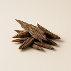 Oud