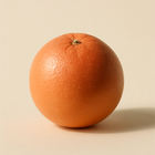 Pamplemousse