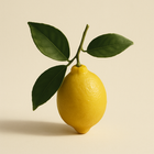 Petitgrain citronnier