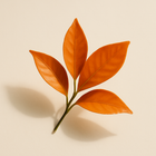 Petitgrain