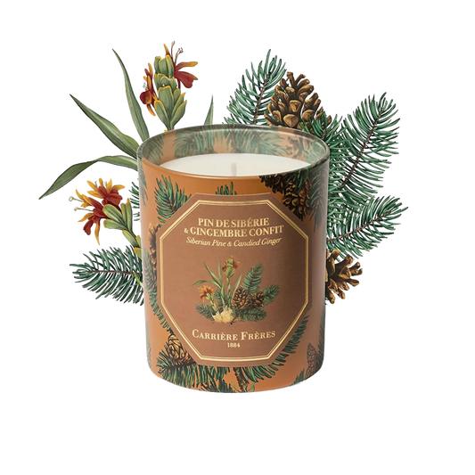 Bougie parfumée Pin de Sibérie et Gingembre Confit de Carrière Frères, collection ambretmusc boisée et gourmande
