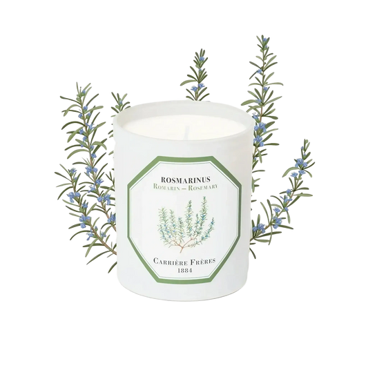 Bougie parfumée Romarin de Carrière Frères, arbrisseau aromatique touffu des collines méditerranéennes avec fragrance ambretmusc