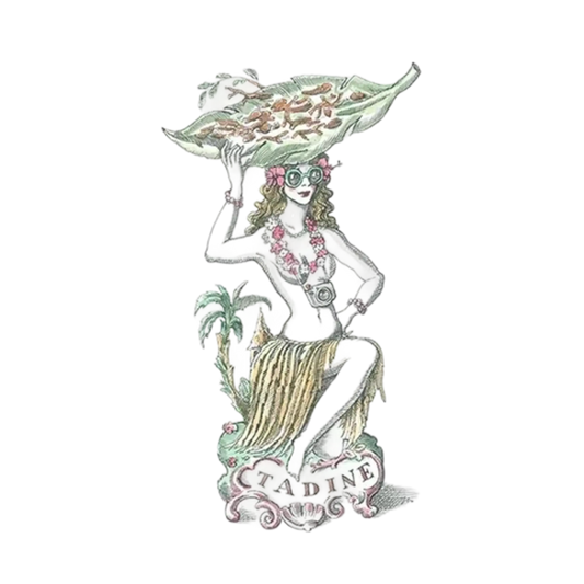 Bougie parfumée Tadine de Trudon aux notes de santal noble et épicé, collection ambretmusc