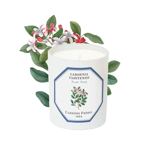 Bougie parfumée Tiaré de Carrière Frères, fragrance inspirée de la fleur polynésienne tiaré avec ambretmusc.
