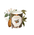 Benjoin et Cacao