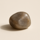Ambre gris