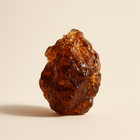 Baume de gurjun