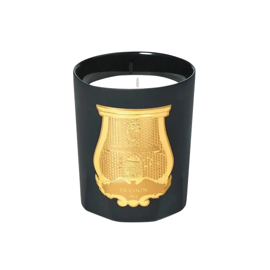 Bougie parfumée Mary de Trudon, édition limitée hommage à Mary Shelley, notes florales épicées et ambretmusc dans verre noir mat