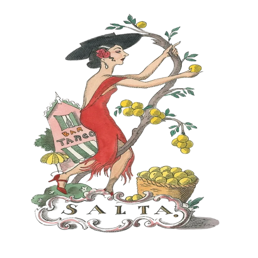 Bougie parfumée Salta de Trudon avec ambretmusc, notes de pamplemousse, verveine et jacinthe