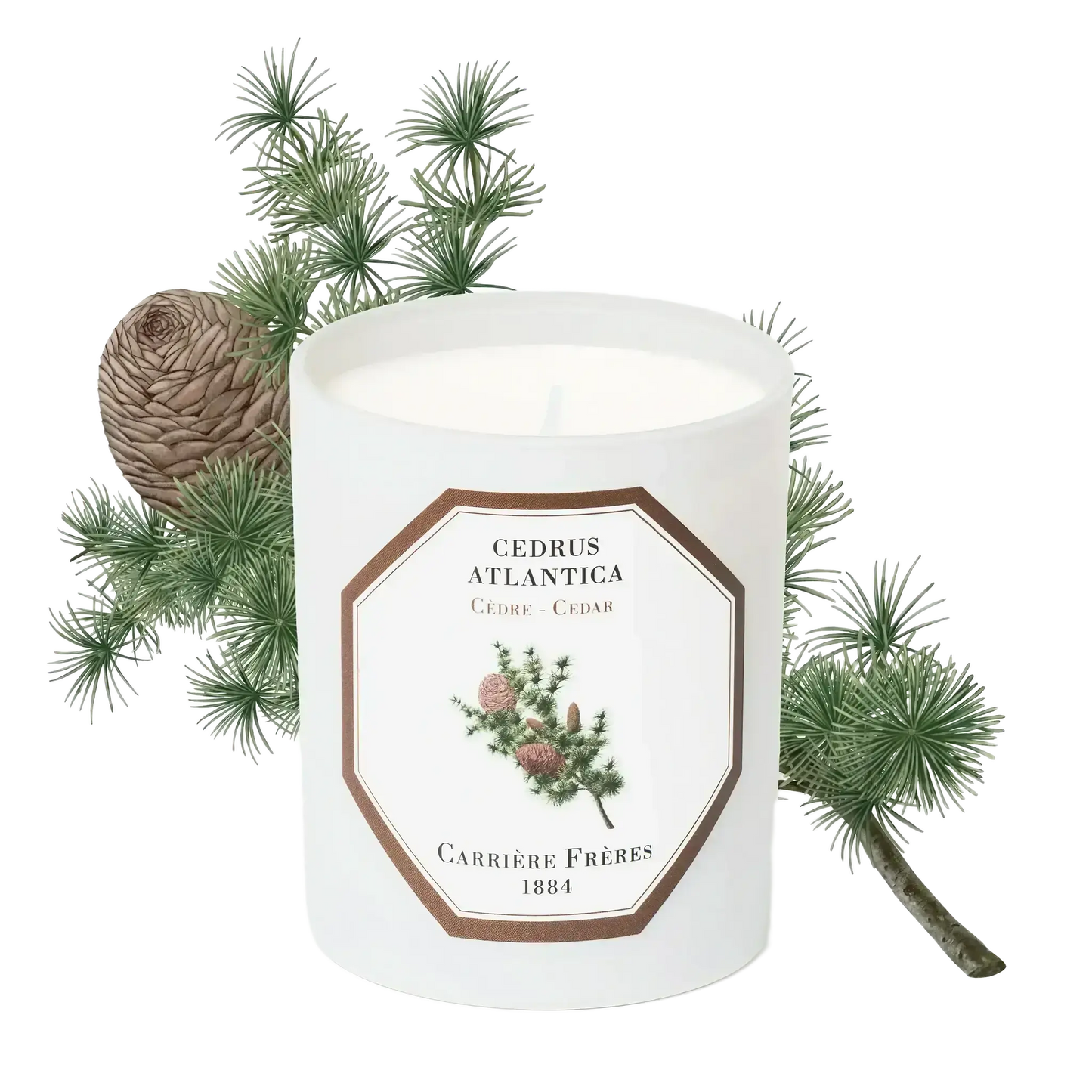 Bougie parfumée au cèdre, essence d'Afrique du Nord, collection Ambre & Musc de Carrière Frères