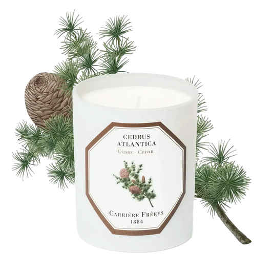 Bougie parfumée au cèdre, essence d'Afrique du Nord, collection Ambre & Musc de Carrière Frères