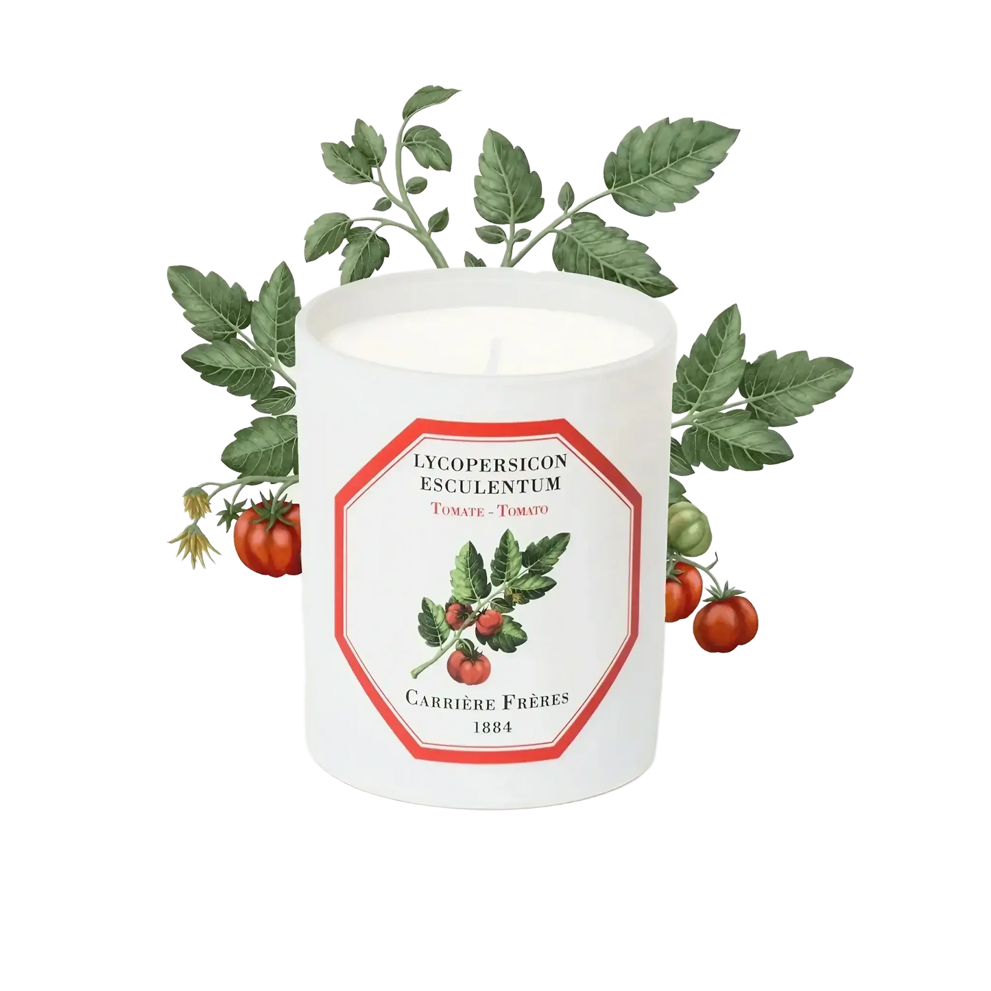 Bougie parfumée Tomate de Carrière Frères, fragrance fruitée ambretmusc pour intérieur