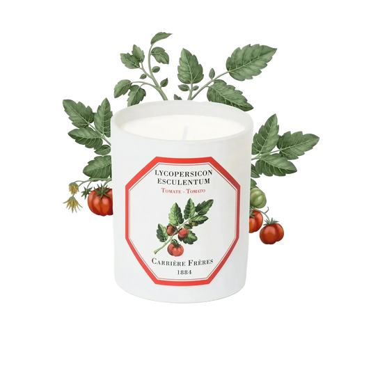 Bougie parfumée Tomate de Carrière Frères, fragrance fruitée ambretmusc pour intérieur