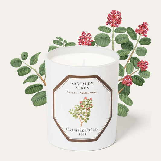 Bougie Santal Carrière Frères