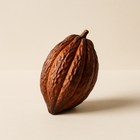 Cabosse de cacao
