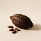 Cacao ivoirien