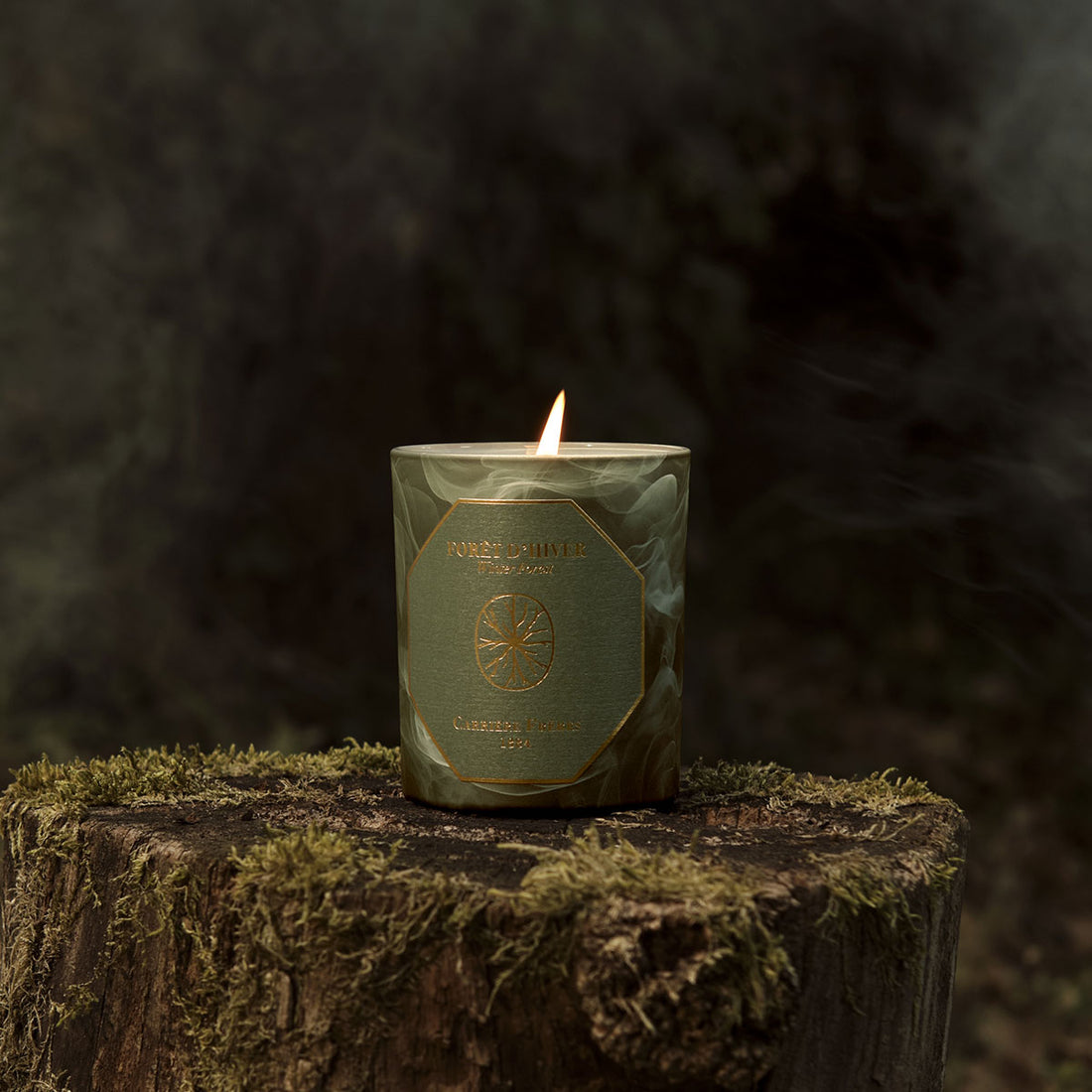 Bougie Forêt d'Hiver | Carrière Frères