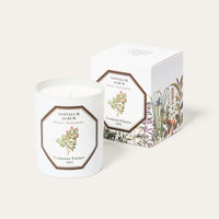 Bougie Santal | Carrière Frères