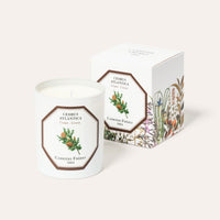 Bougie Cèdre | Carrière Frères