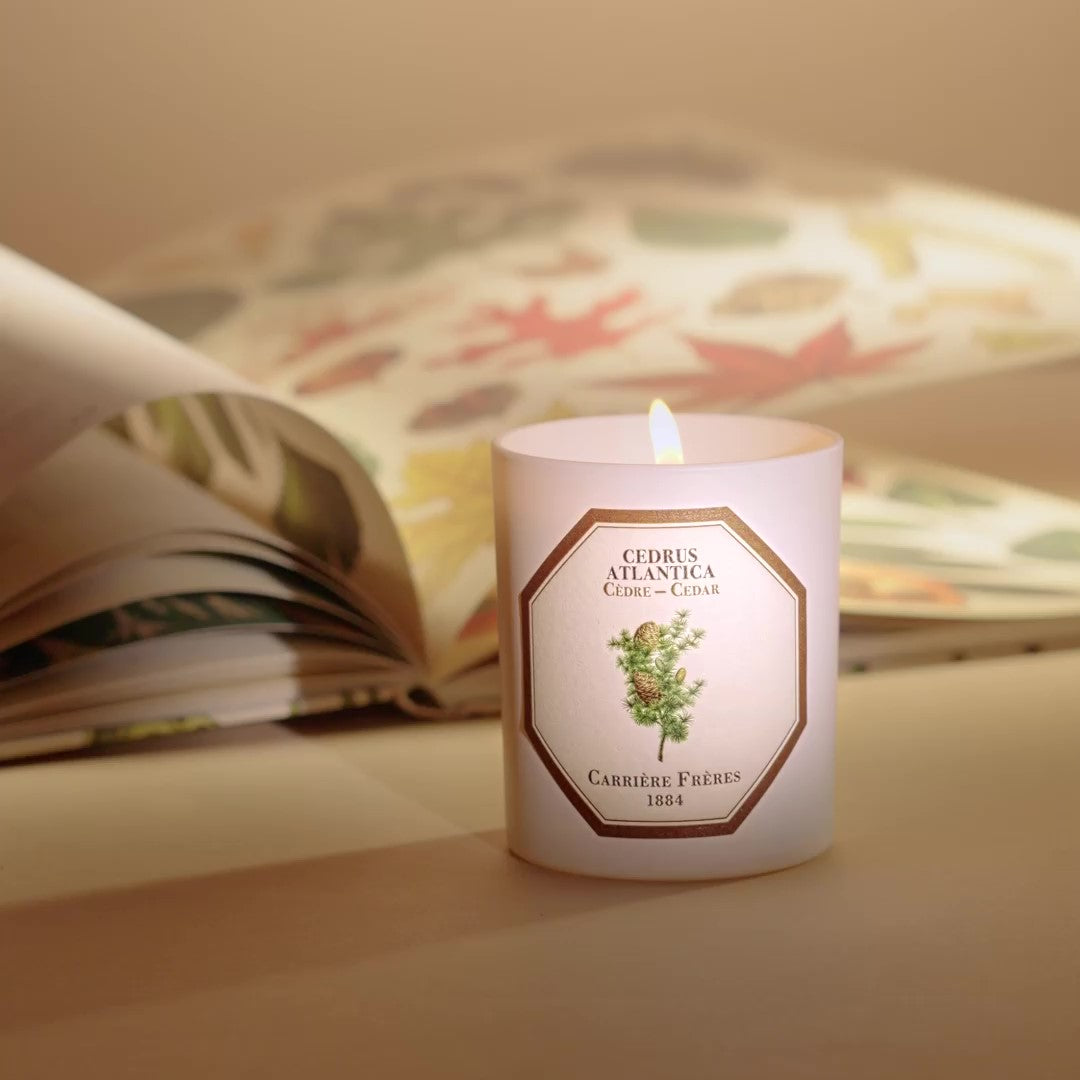 Bougie Cèdre | Carrière Frères