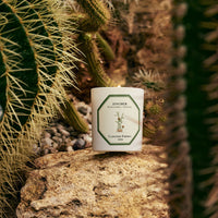 Gingembre | Carrière Frères
