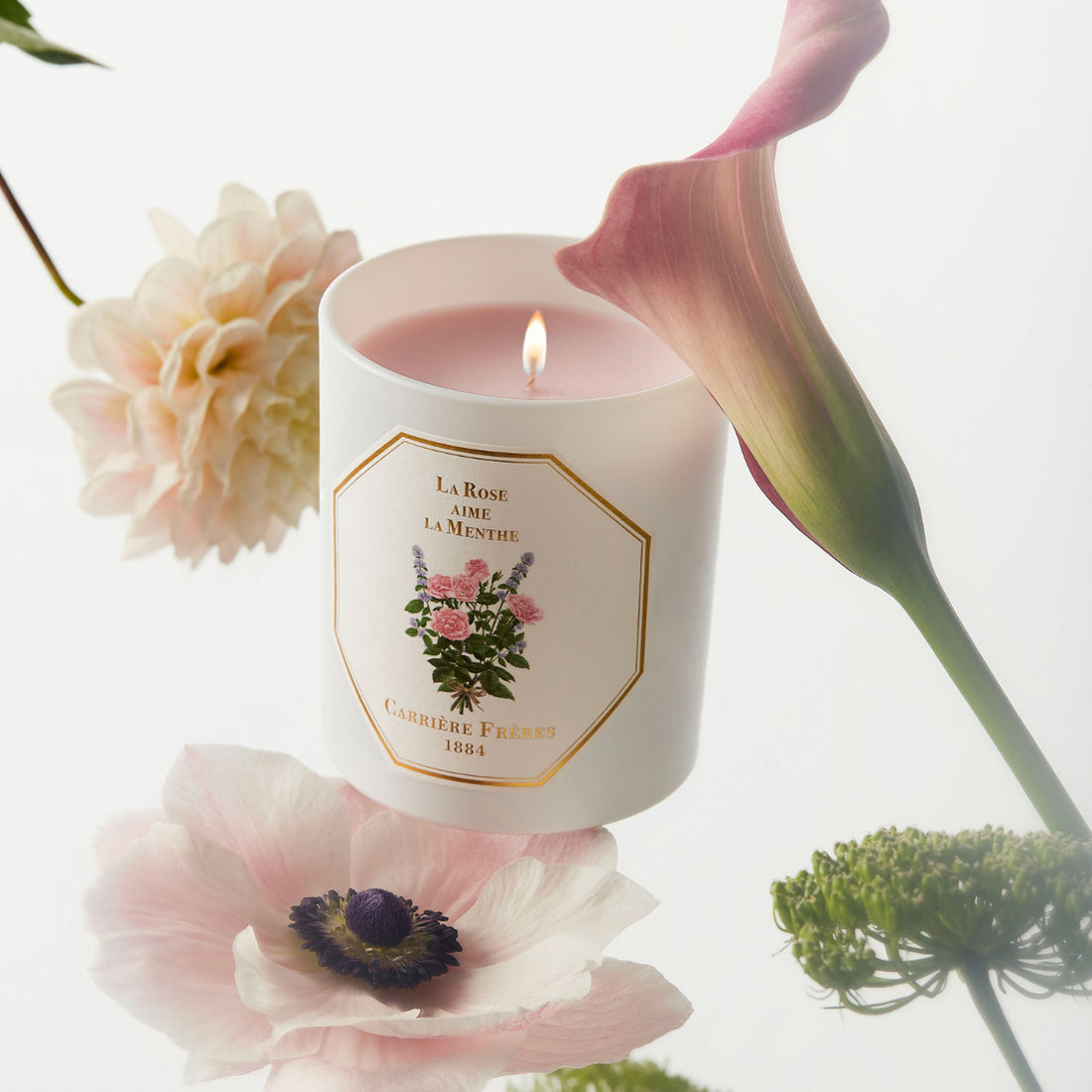 La Rose aime la Menthe | Carrière Frères