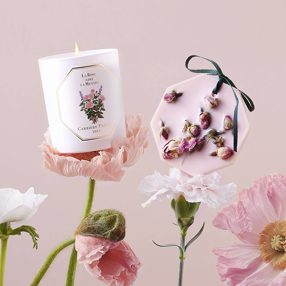 La Rose aime la Menthe | Carrière Frères