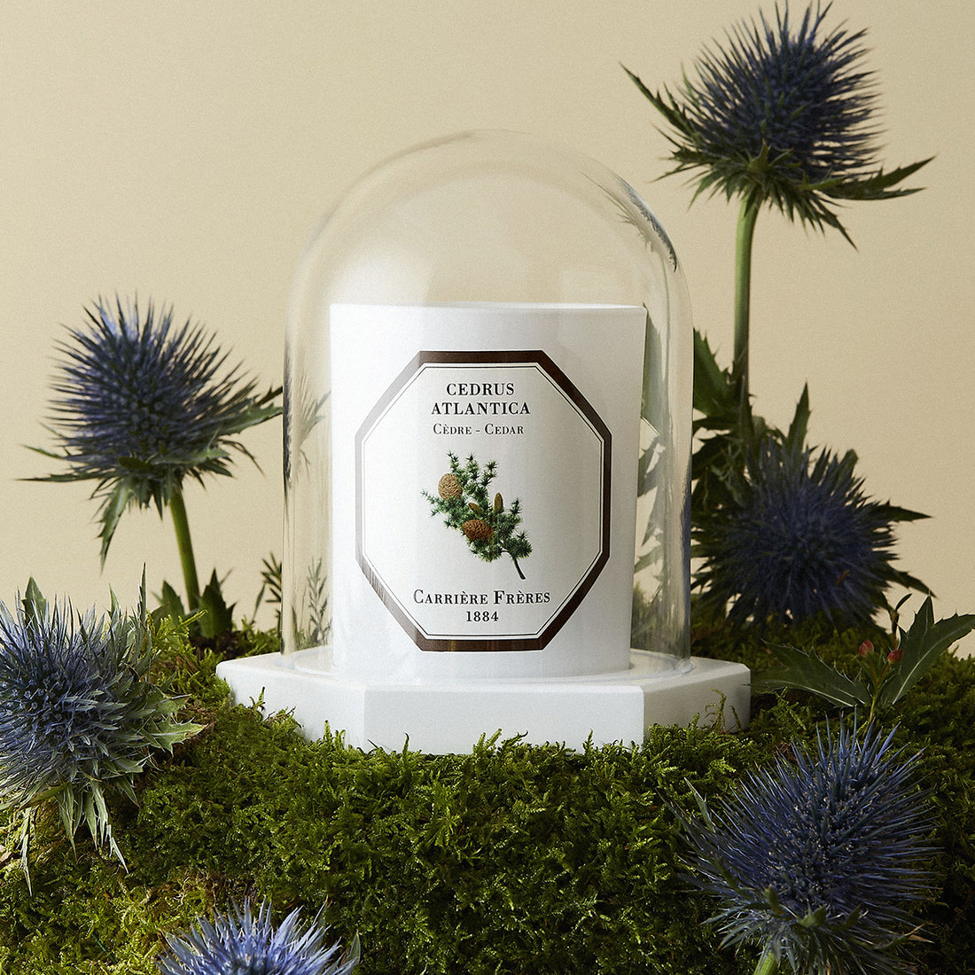 Coffret Le Dôme | Carrière Frères