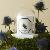 Coffret Le Dôme | Carrière Frères