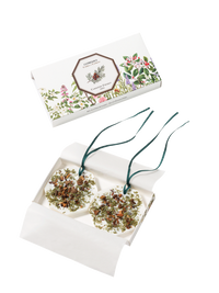 Palet Botanique Cyprès | Carrière Frères