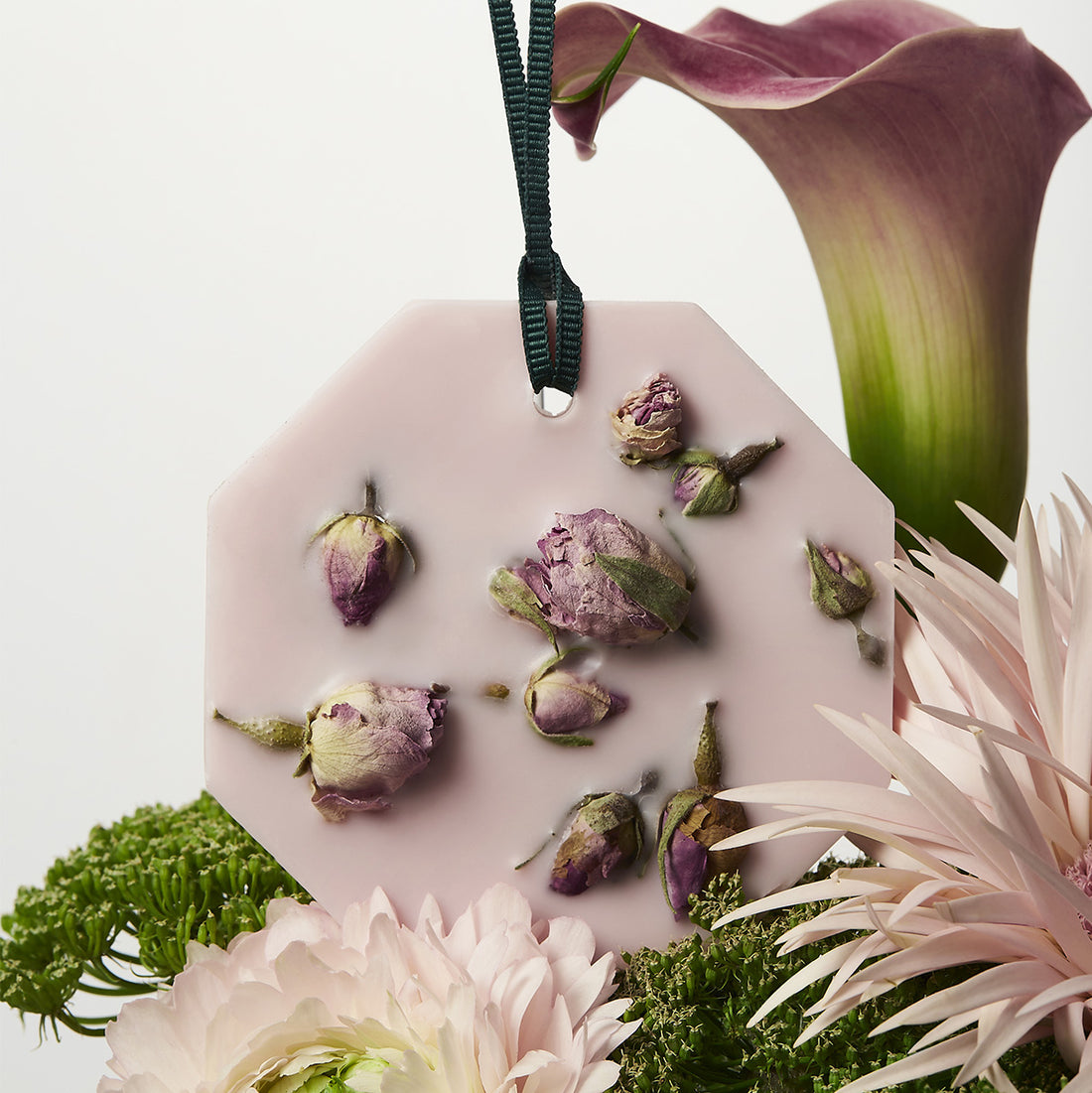 Palet Botanique La Rose aime la Menthe | Carrière Frères