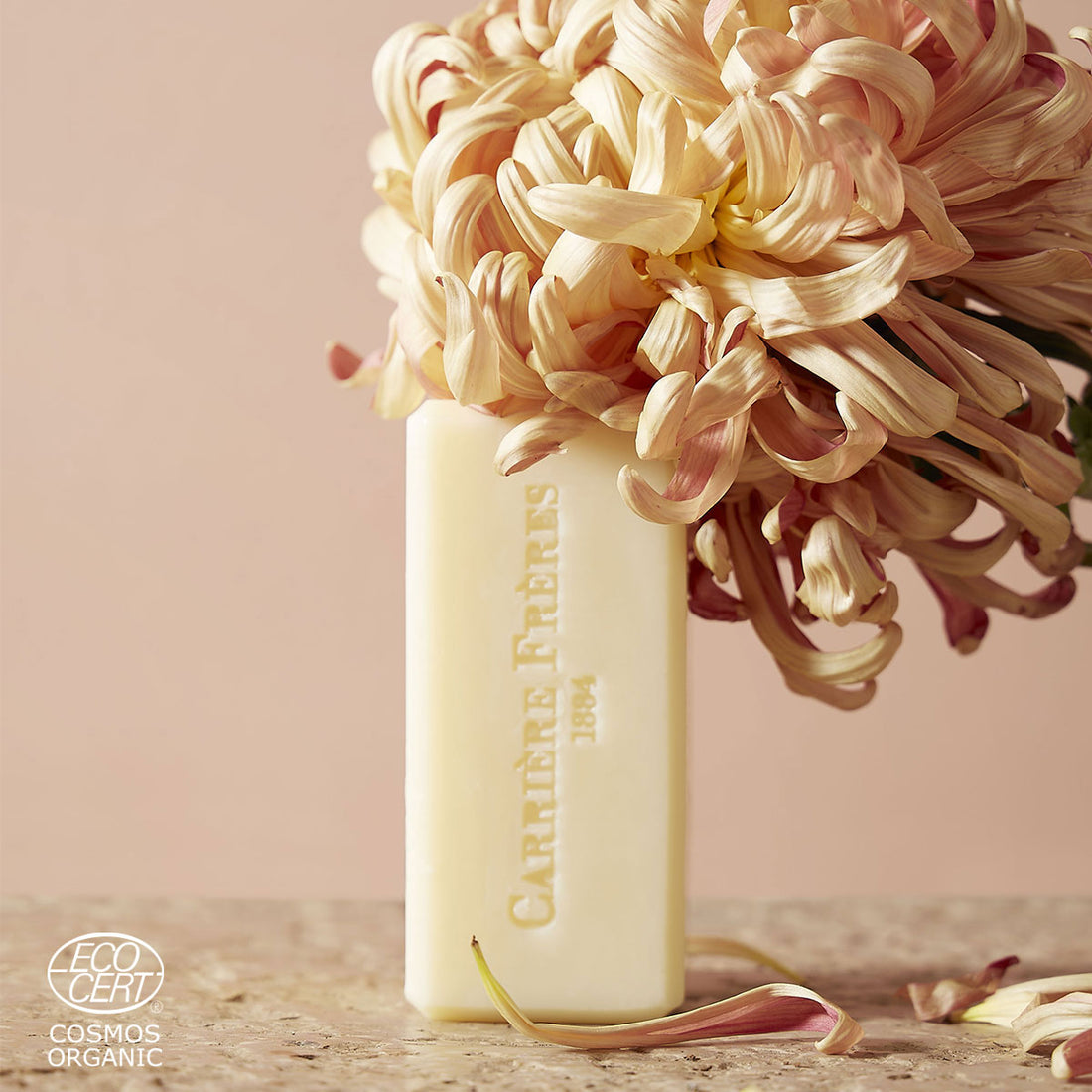 Savon Solide Apotheca | Carrière Frères
