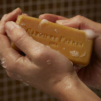 Savon Solide Silvae | Carrière Frères