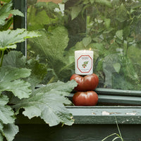 Tomate | Carrière Frères